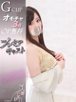 瑞穂-みずほ-《プレミア》 PH1