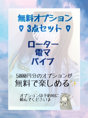 瑞穂-みずほ-《プレミア》 PH6