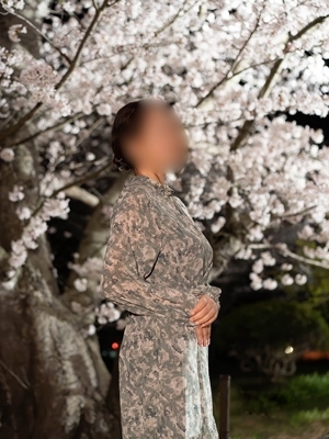 のぞみ PH1