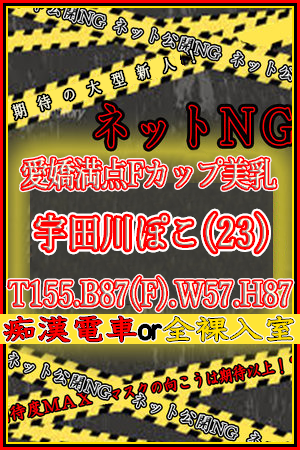宇田川ぽこ