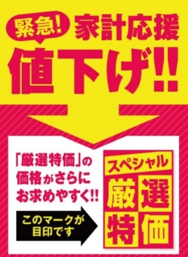 新コース&価格改定