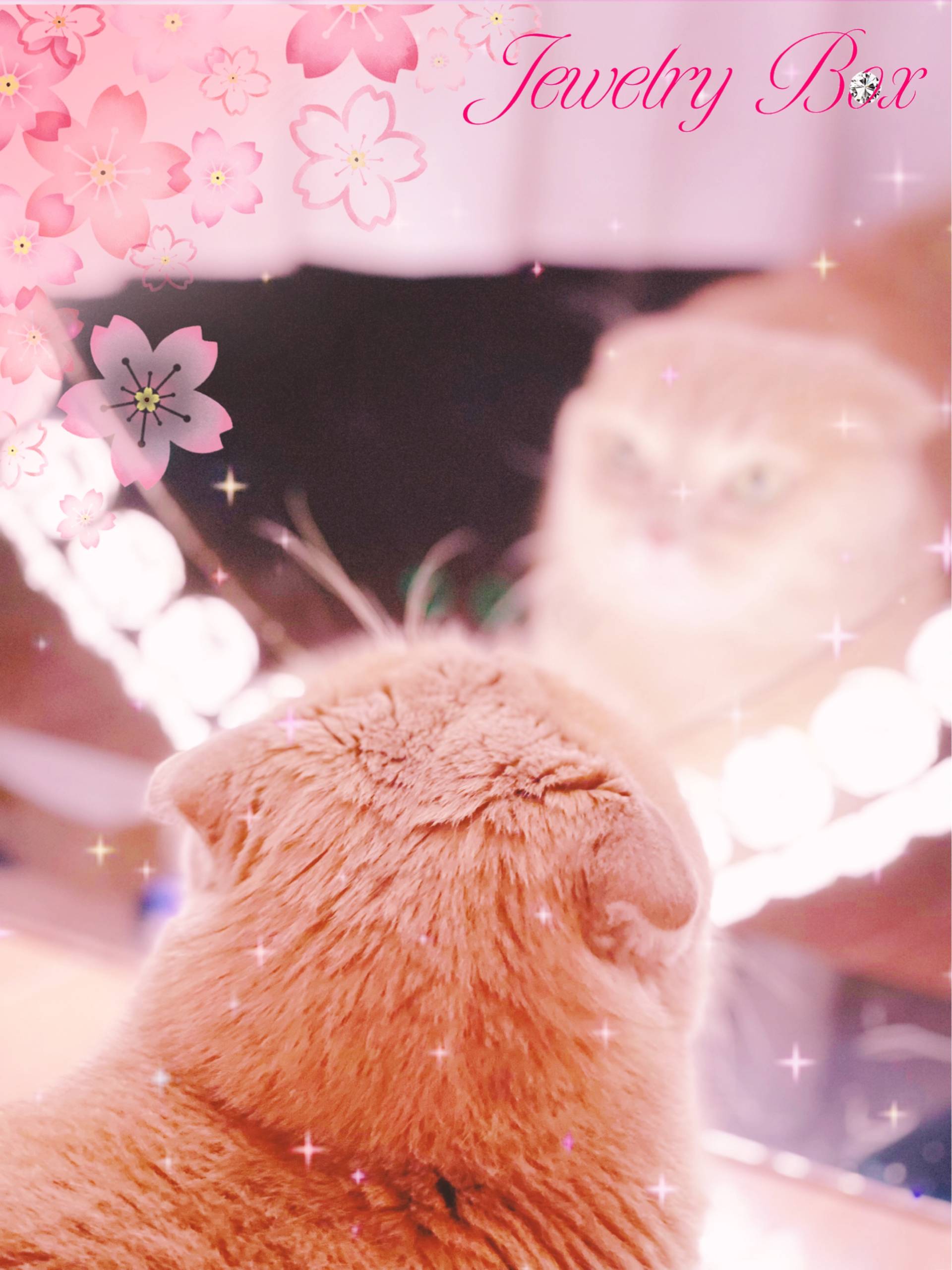 ゆあ