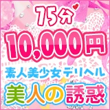 美人の誘惑の割引情報